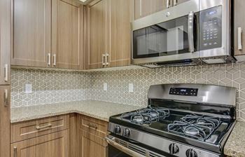Chef-worthy stainless steel gas stove